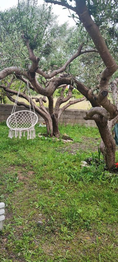 Apartman Duce Milka Villa Esterno foto