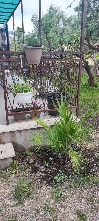 Apartman Duce Milka Villa Esterno foto
