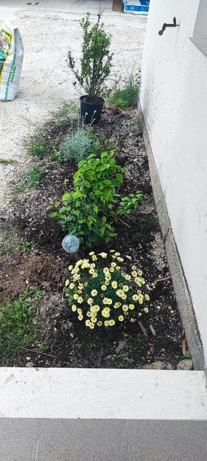 Apartman Duce Milka Villa Esterno foto